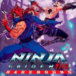 【Switch】NINJA GAIDEN： Ragebound スタンダードエディションの画像