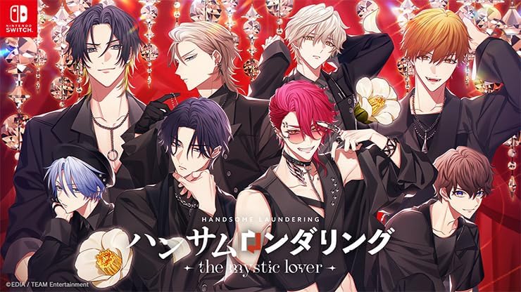 【Switch】ハンサムロンダリング – the mystic lover – [通常版]