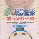 であえ殿さま あっぱれ一番 スーパーファミコンの画像