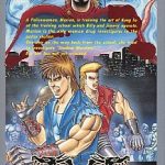リターン・オブ・ダブルドラゴン スーパーファミコンの画像