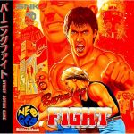 バーニングファイト ネオジオCDの画像