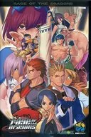 レイジ・オブ・ザ・ドラゴンズ ネオジオROM